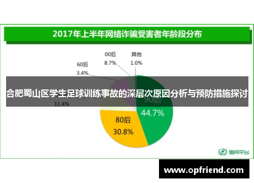 合肥蜀山区学生足球训练事故的深层次原因分析与预防措施探讨
