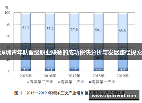深圳青年队晋级职业联赛的成功秘诀分析与发展路径探索 深圳青年队晋级职业联赛的成功秘诀分析与发展路径探索